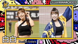 🇹🇼台湾チア🇹🇼 白白 White [Passion Sisters] 2024年見到啦啦隊(2024年にお会いできた台湾チア)#005 [中文歌詞]
