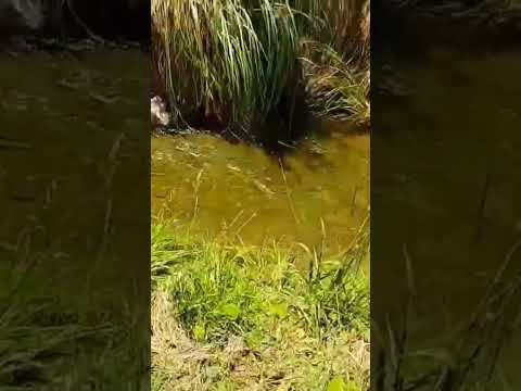 Alcira Gigena, un lugar tranquilo. #córdoba #cicloturismo #vidaendosruedasnico