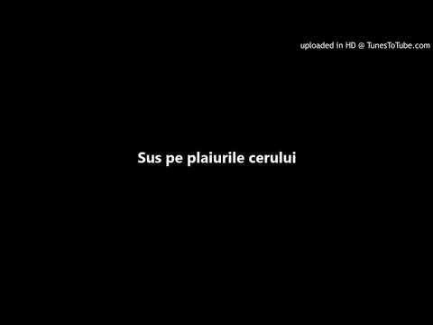 Pastean Vasile - Sus pe plaiurile cerului