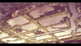 Pita - Like Watching Shit On A Shelf