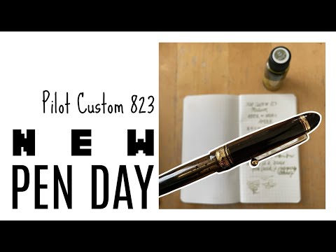 New Pen Day: Pilot Custom 823 Amber M * First Impressions * just kidding, it's not my pen!