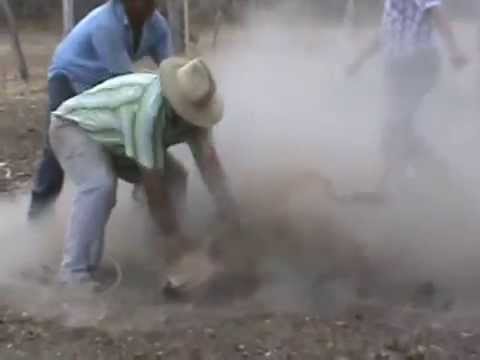 02 LOS 5 LAZOS DEL LLANO Y LA SOGA