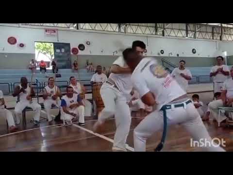 MORCEGUINHO ARTE BRASILEIRA (CAMPEONATO EM SANTA FÉ PR)