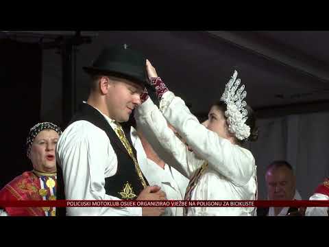 Čepinski suncokreti najljepši su čuvari tradicije i običaja