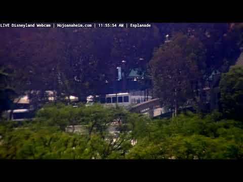 Live webcam of Disneyland Cam