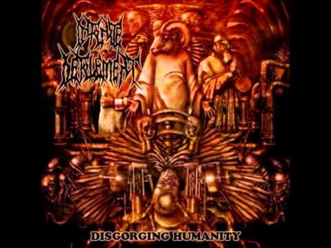 Infinite Defilement - Methodical Degradation (With Real Drummer)