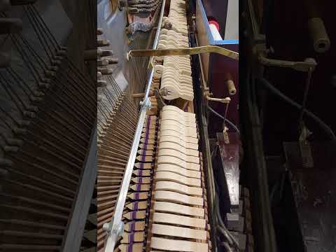 Clair De Lune (Moonlight)  Debussy. QRS roll #C-111