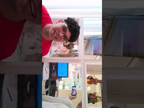 RELATO REAL: JOVEM CUBANO REFUGIADO NO SUL DO BRASIL REVELA A DURA ROTINA EM CUBA