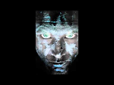 JOSH WINK HIGHER STATES OF CONSCIOUSNESS 2011 ( STEFANO NOFERINI RE-EDIT )