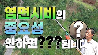 엽면시비의 중요성!! 꼭 시기 맞춰서 해주셔야 합니다(feat. 양재갑 마스터)