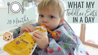 WHAT MY TODDLER EATS IN A DAY |  What My 20 Month Old Eats In A Day