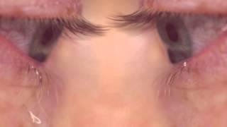 KUČKA - Honey [Official Music Video]