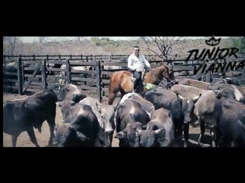 Júnior Vianna Tô na Vaquejada (Clipe Oficial)