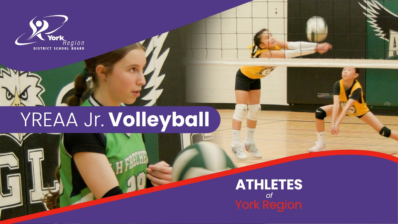 youtube-videolLExRgvglH8