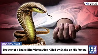 Brother of a Snake Bite Victim Also Killed by Snake on His Funeral