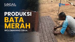 Usaha Bata Merah di Wolomarang Kabupaten Sikka, Warisan Keluarga yang Menjadi Harapan Warga