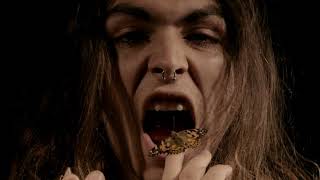 Paris Shadows - Bones [Official Music Video]