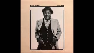 Muddy Waters – Bus Driver