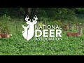 NDA's All New Deer Steward 1 Course