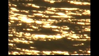 Cover art for Plum - Leaving (Official Music Video)