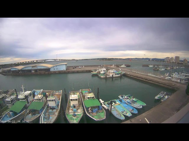浜名湖・舞阪漁港