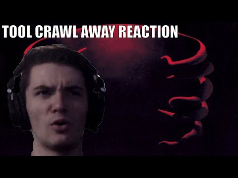 Metal Guitarist Reacts to Crawl Away by TOOL