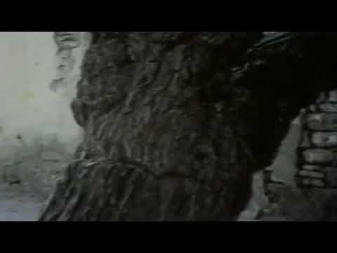 Qəzəlxan | Əliağa Vahid