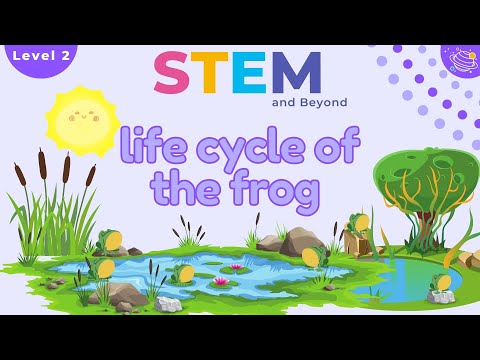 Life Cycle of a Frog | KS1 Science Year 2 | STEM Home Learning