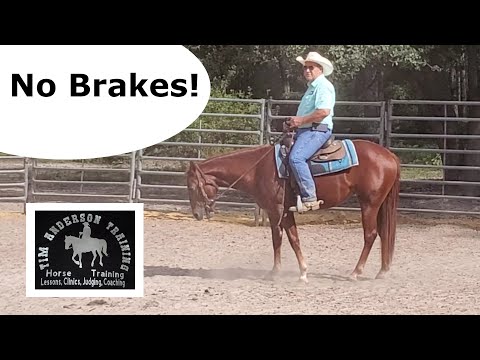 Training Horses to Stop Reliably: Essential Tips