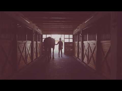 Spot Web - Haras Cahuel Quimey