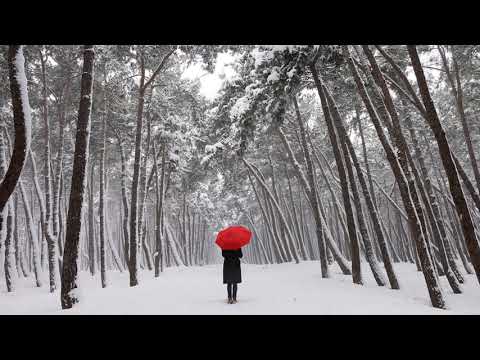 "FOREST ❄️" PGJ Type Beat | BoomBap | vyti