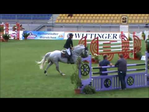 Untouchable 27 stallion