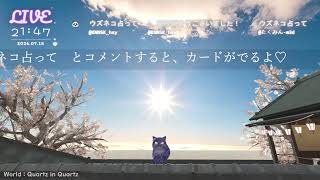 🔴LIVE CAMERA　ウズネコ　【占いテーマ：いまどうすればいい？】2026.07.14