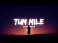 Tum Mile Slowed And Reverb