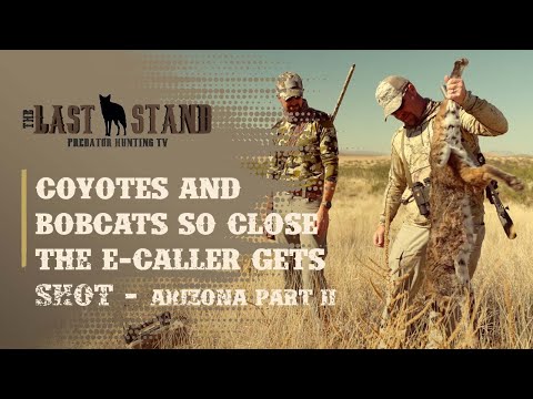 Coyotes and Bobcats So Close The E-caller Gets Shot | The Last Stand S4:E4