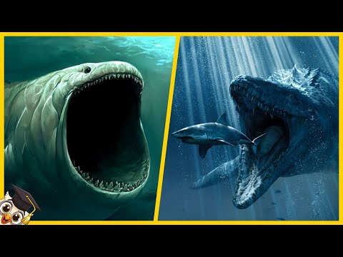 The 10 Largest Sea Monsters in the World