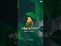 ஜாதி என்ன கேட்டு விட்டு தென்றல் நம்ம�