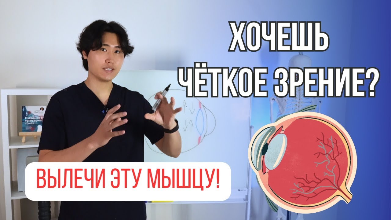 Хочешь четкое зрение? Вылечи эту мышцу
