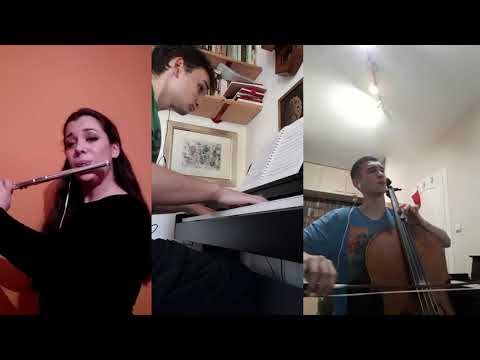 Trio Reformed - Piazzolla - Zima