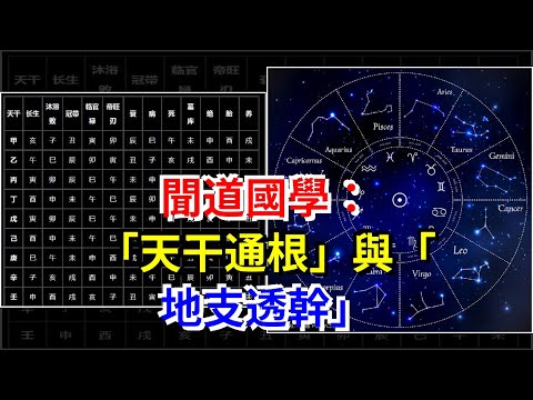 地支透幹