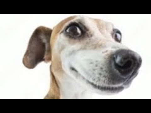 New level I’m working on right now :3