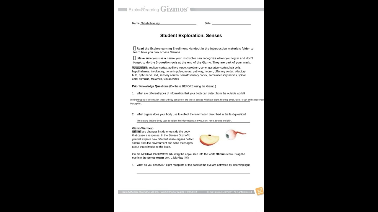 GIZMO SENSES  ALL ANSWERS CORRECT GRADED A pdf