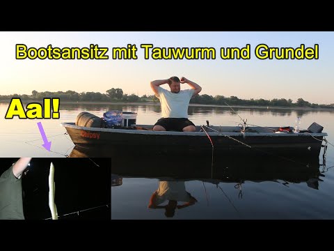 Bootsansitz mit Pose und Grundblei auf Aal und Zander! Was fängt besser? Tauwurm oder Grundel?
