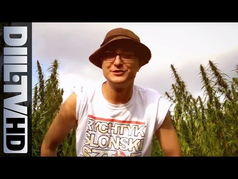 Metrowy x Essex - Po Olej Do Głowy (prod. Essex) (Official Video) [DIIL.TV]