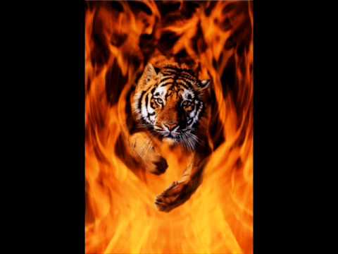 LRS & NickoN - Tankar