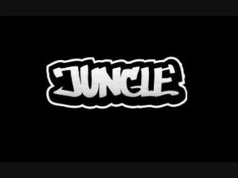 Sean Paul-Jungle-(Dj Mummy RMX)