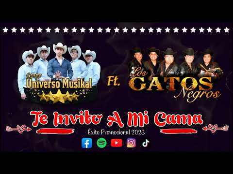 Te Invito A Mi Cama - Grupo Universo Musikal Ft. Los Gatos Negros _ Éxito Promocional 2023