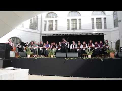 Weinlese Chortreffen 2014 - Mondschein Chor, Szekszárd