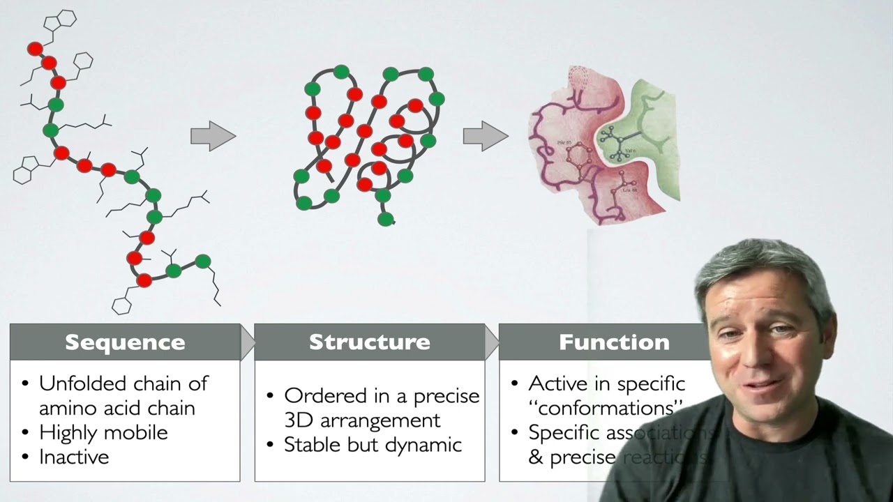 8.1 Introduction to Structural Bioinformatics
