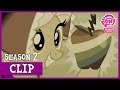 The Foundation of Ponyville (Family Appreciation Day) | MLP: FiM [HD]